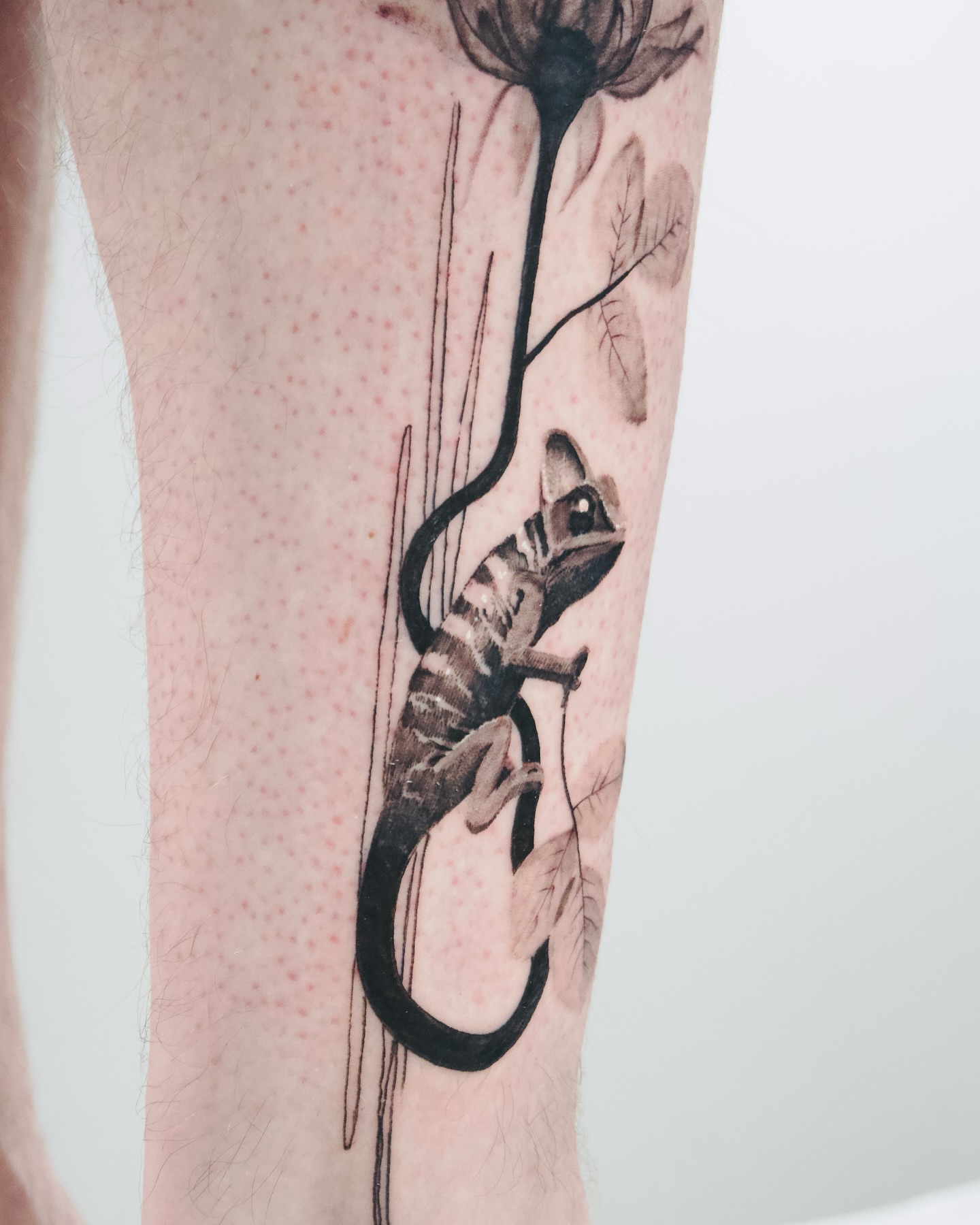 marius_montrealtattoo