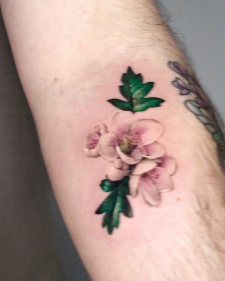 Flower, Rose