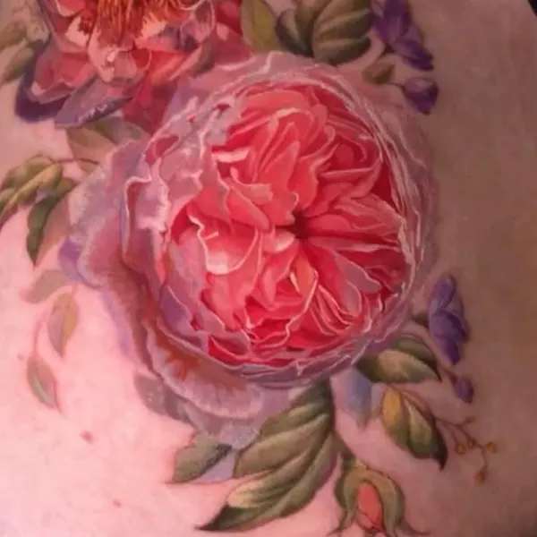 Flower, Rose