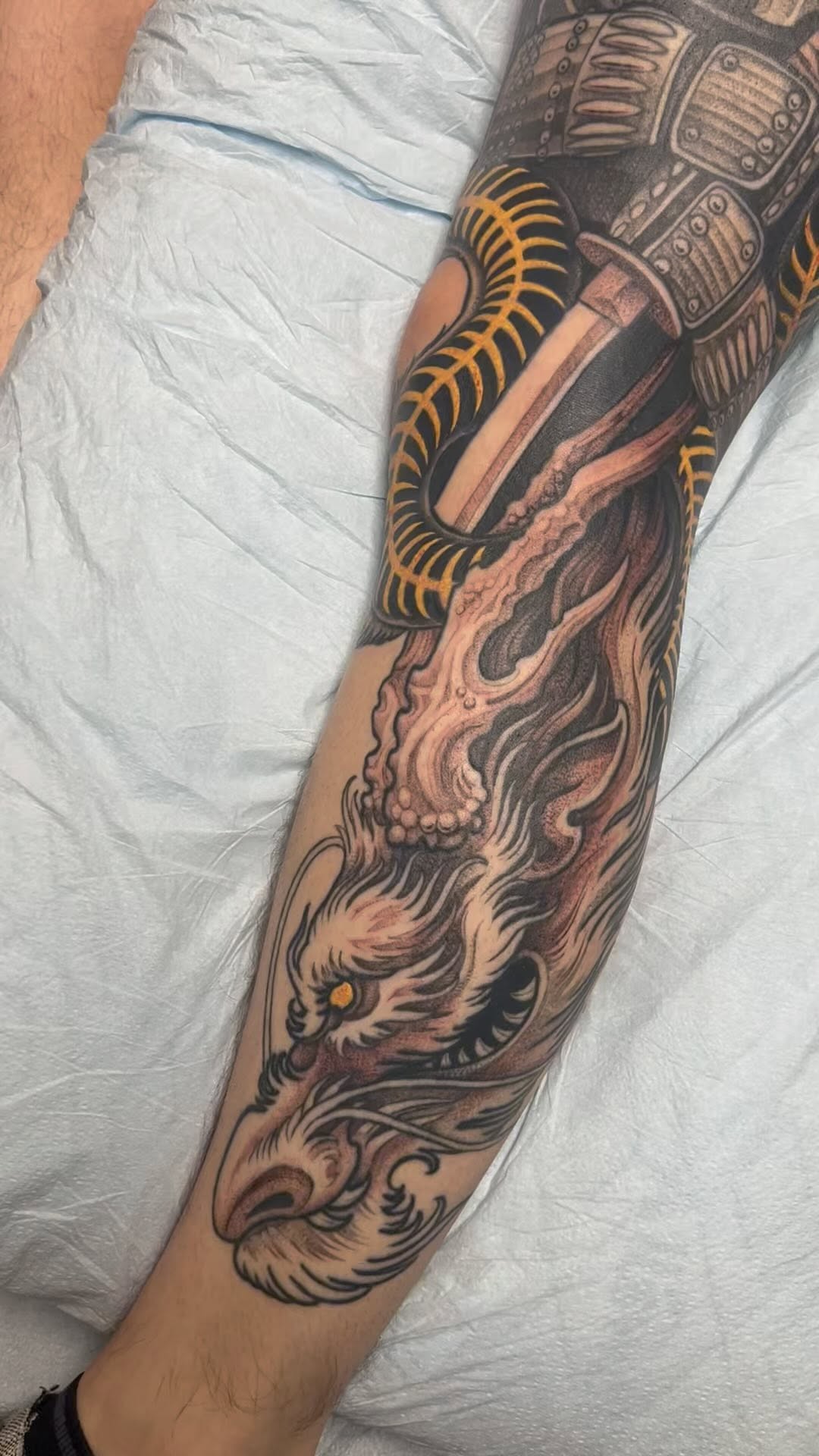 Dragon