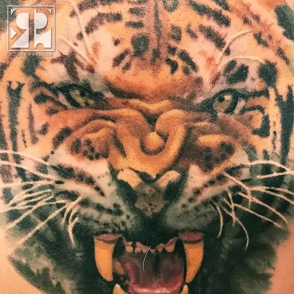 Tiger