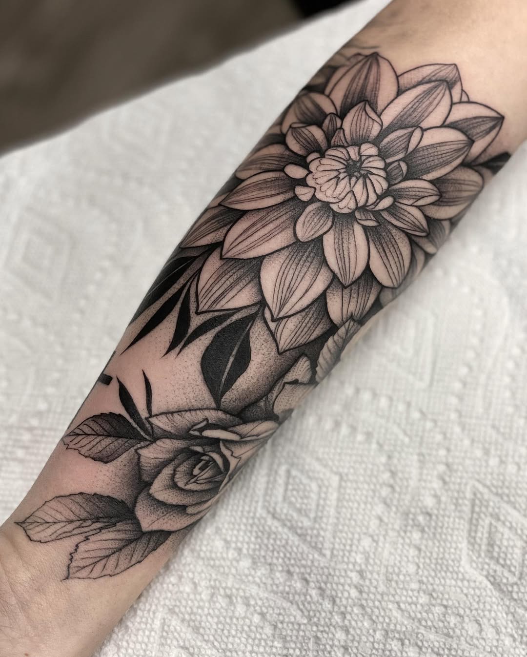Rose, Flower