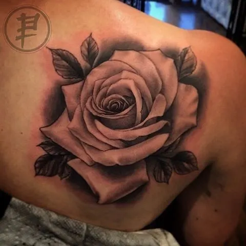 Flower, Rose, Nature