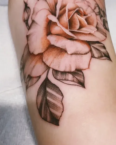 Flower, Rose