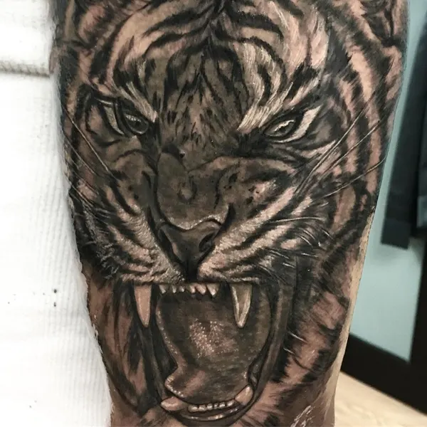 Tiger