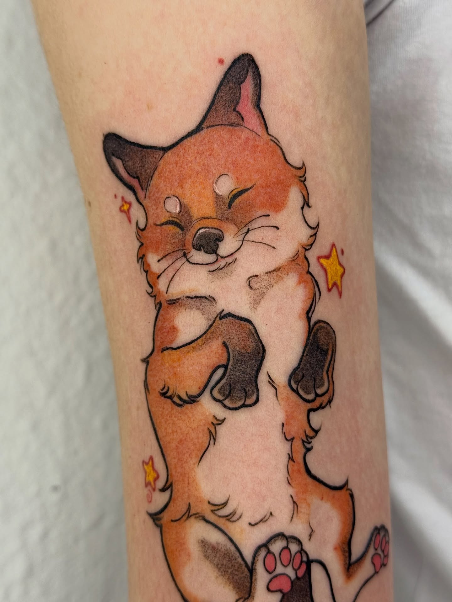 Animal, 여우