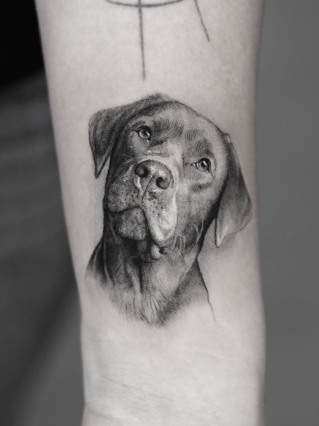 ben_tats