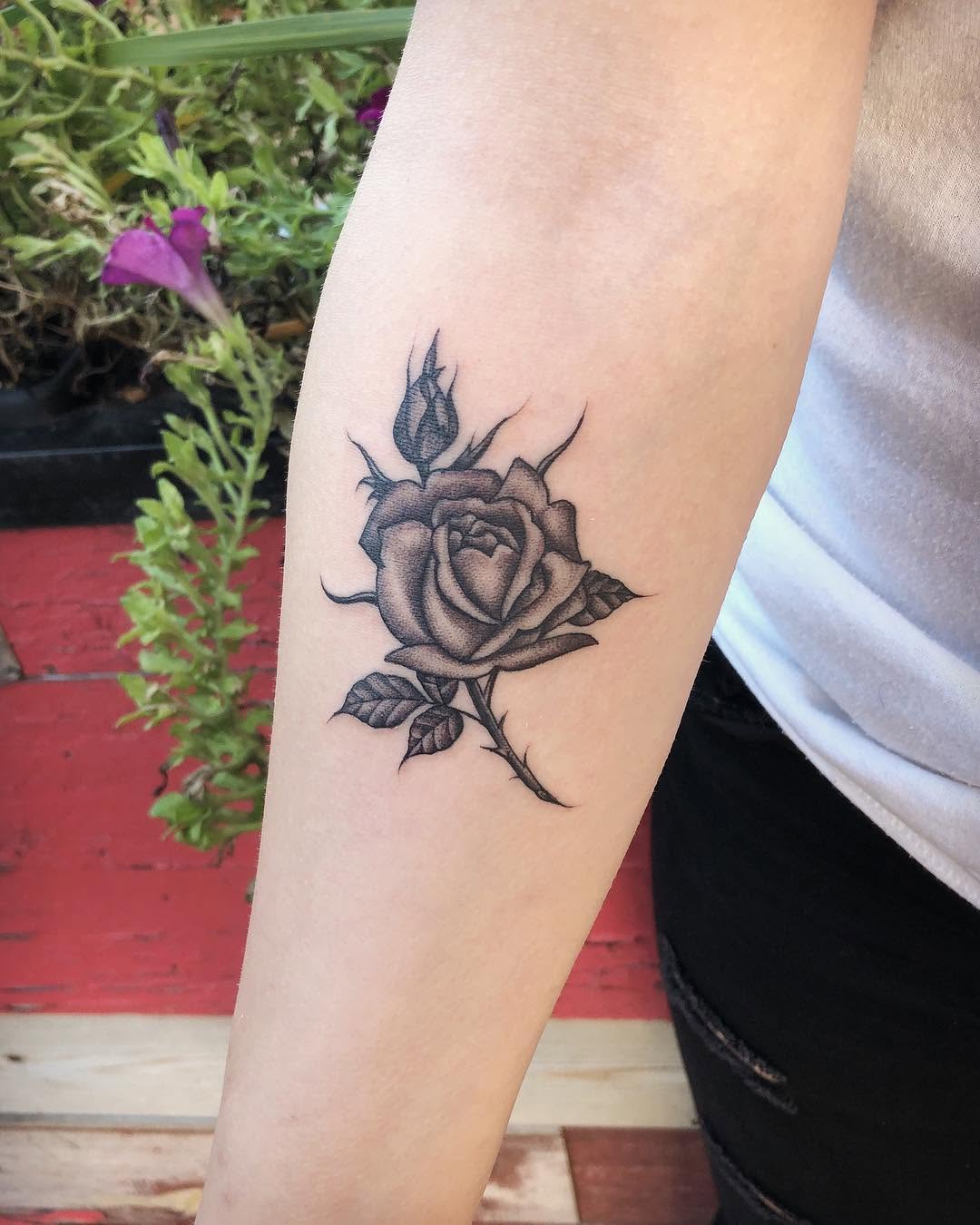 Flower, Rose