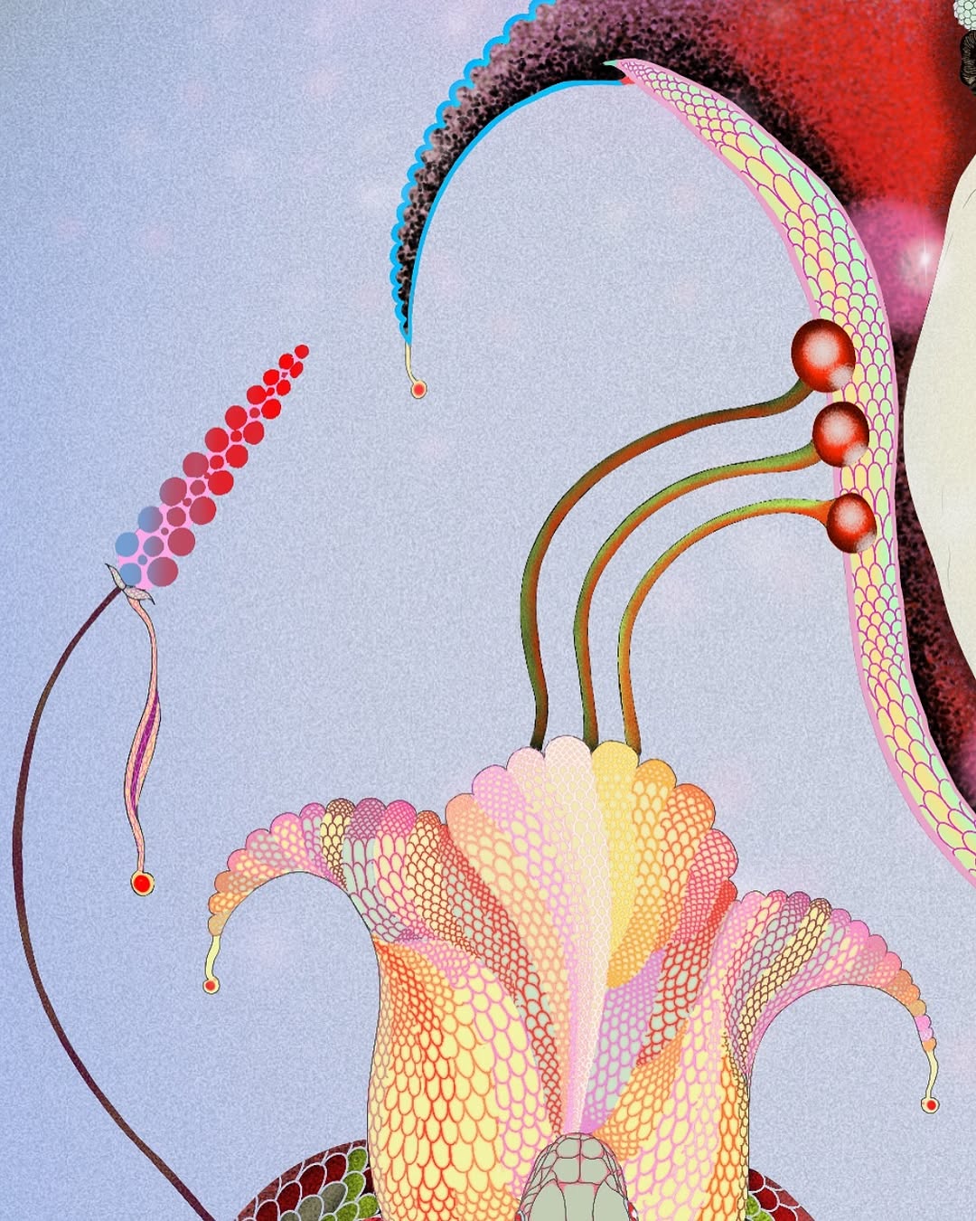 les.amours.imaginaires