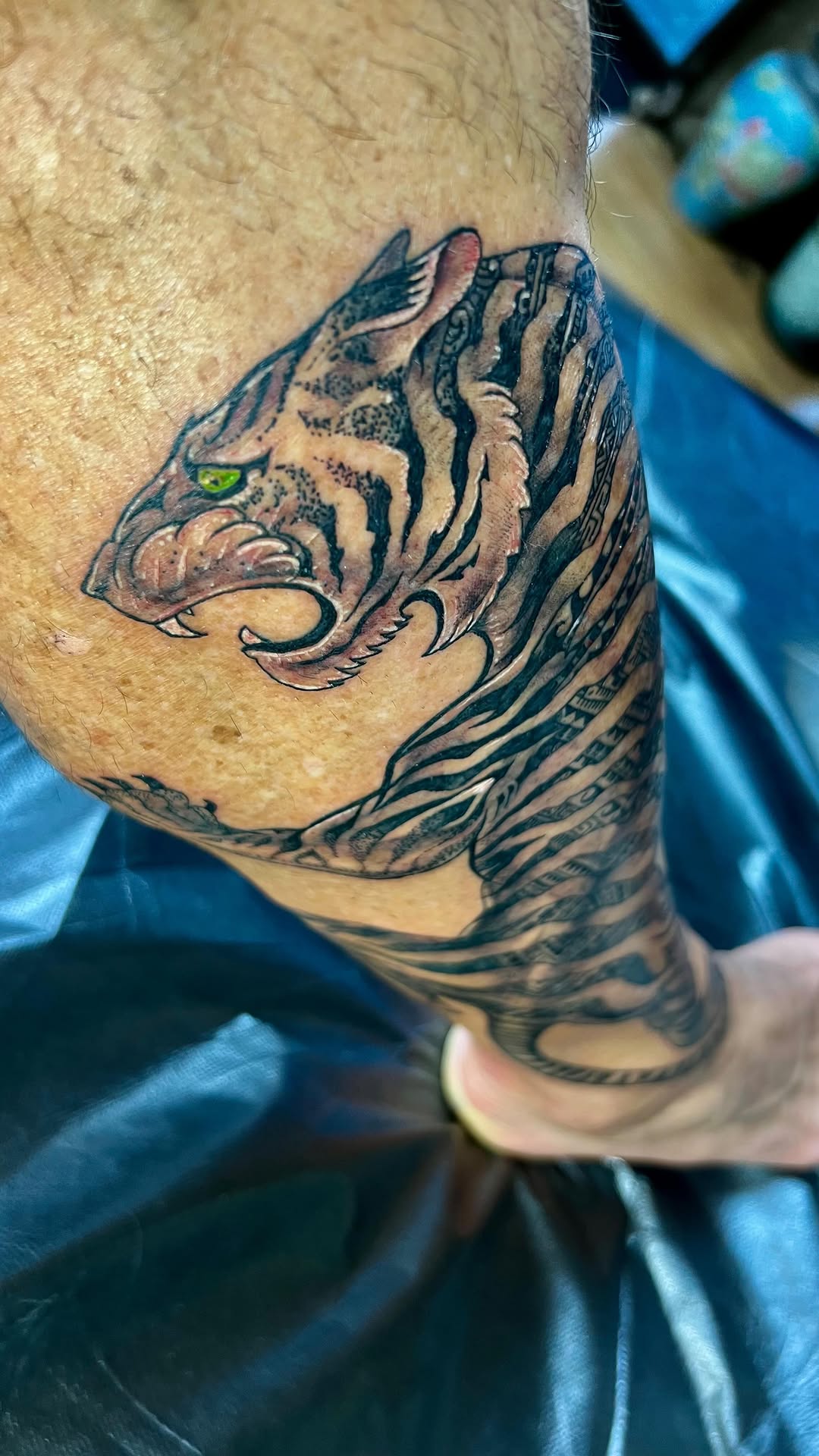 Tiger