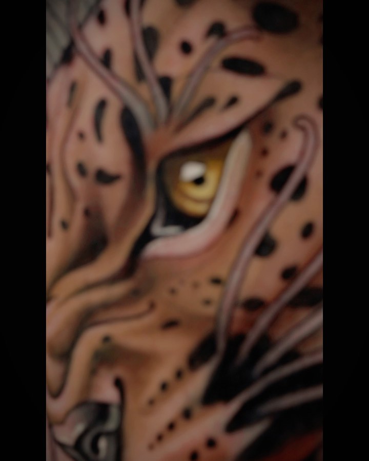 Tiger, Animal, 표범, 재규어