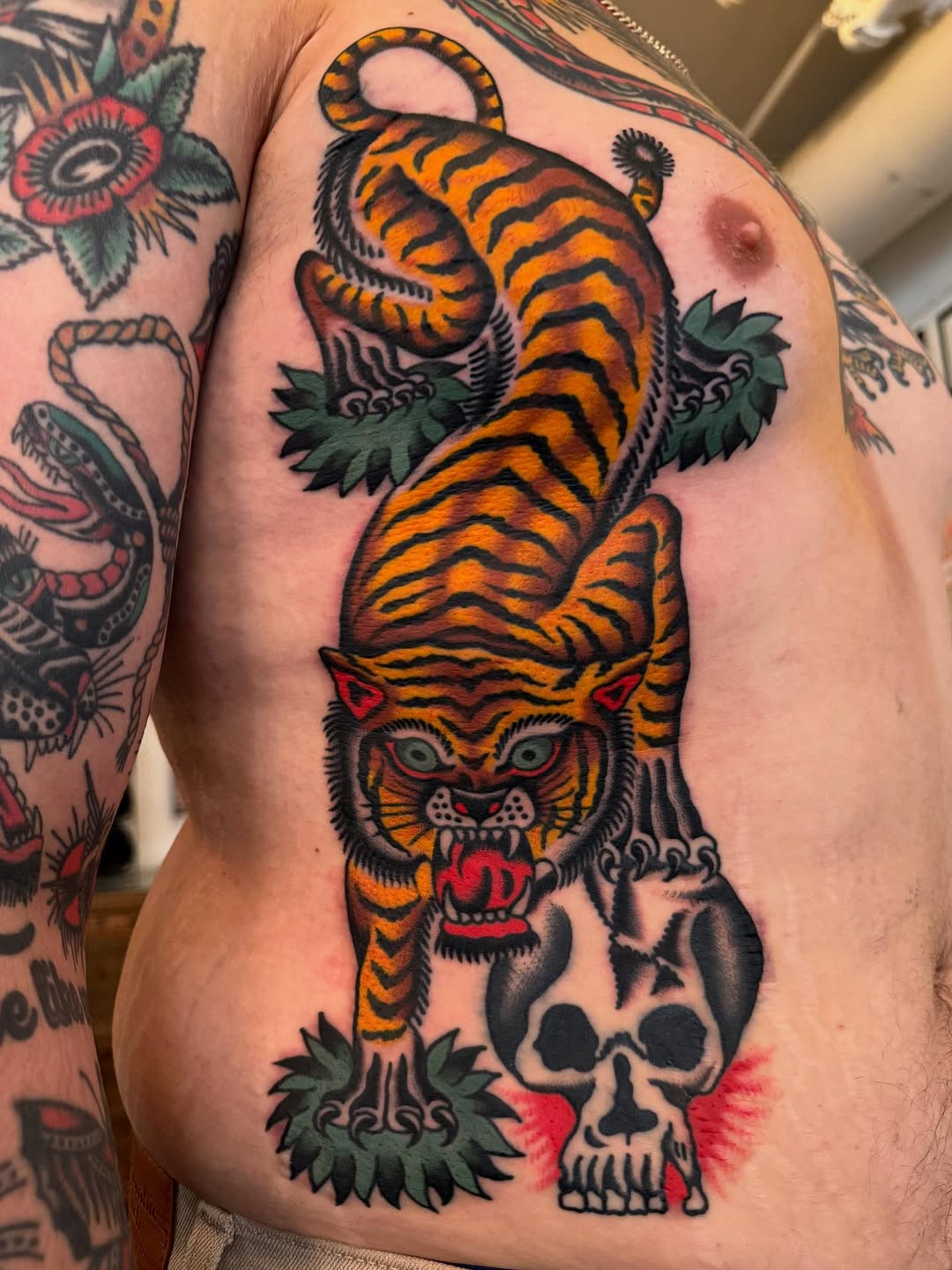 Tiger
