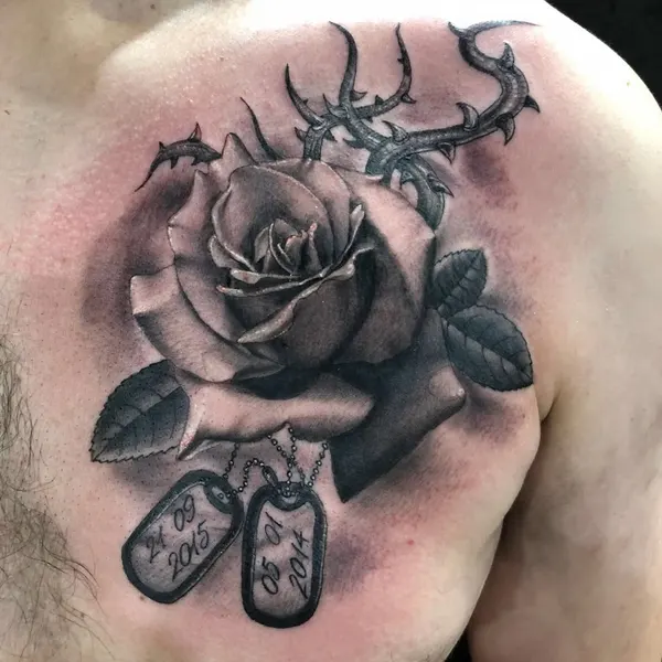 Flower, Rose, Nature