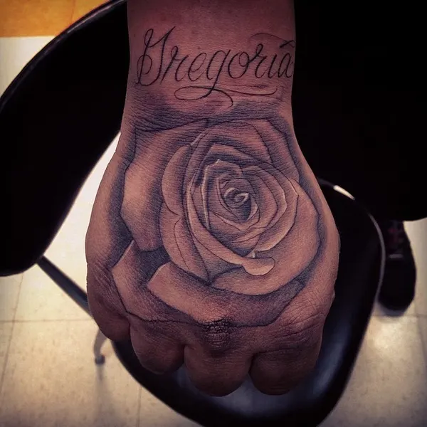 Flower, Rose