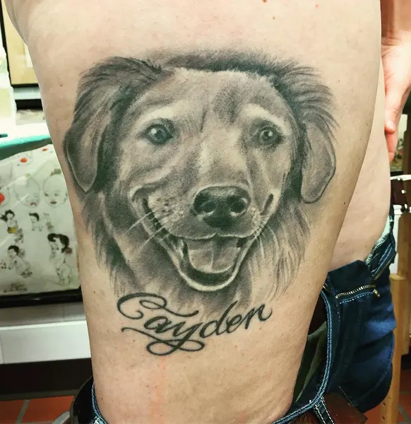 Animal