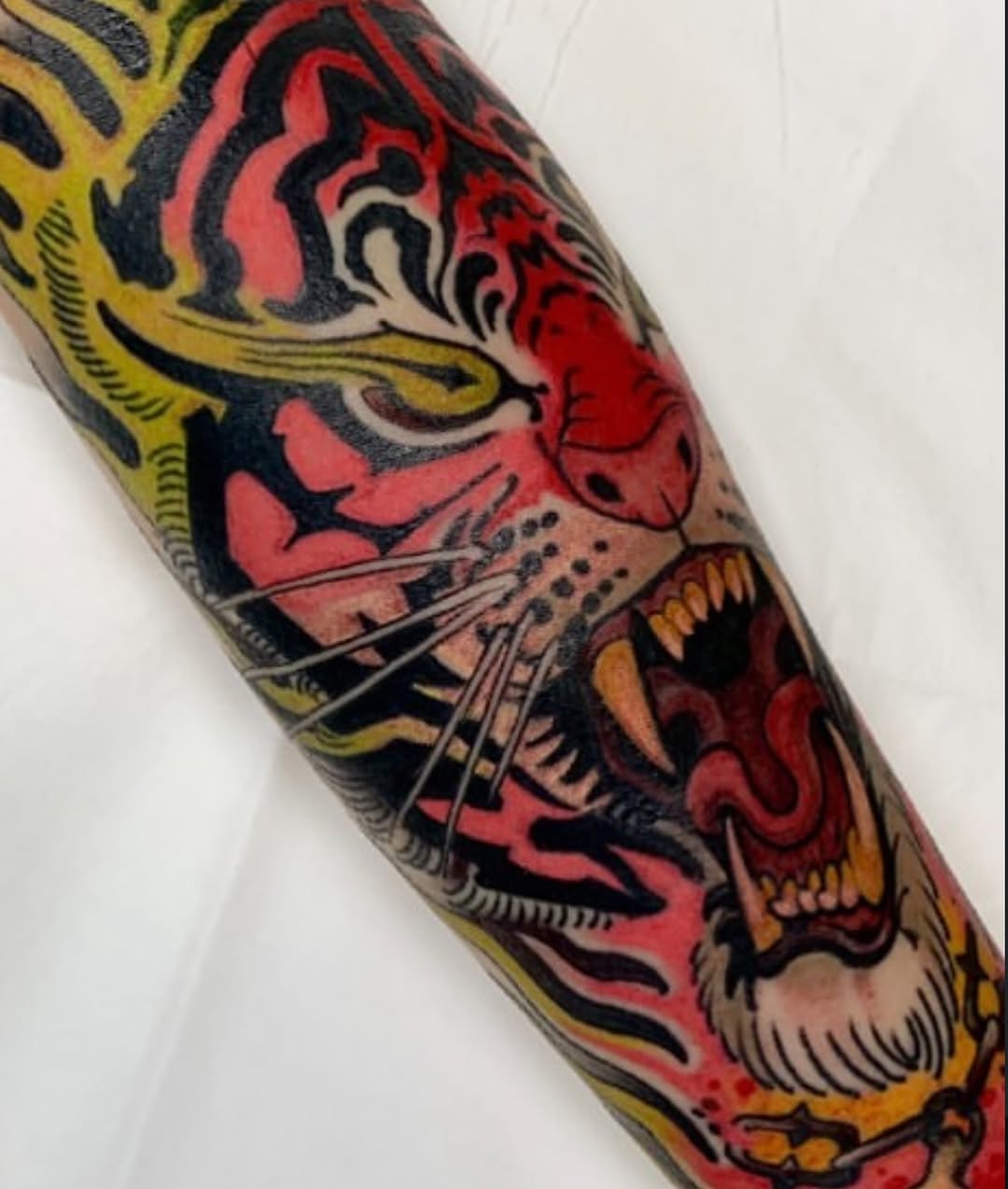 Tiger
