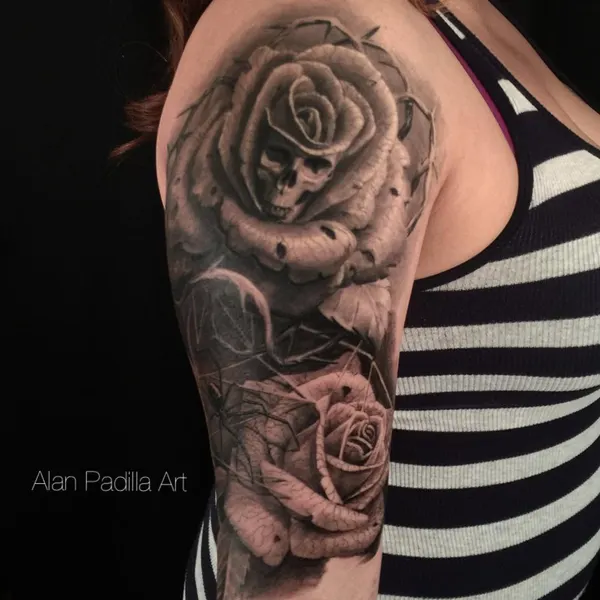 Flower, Rose, Nature