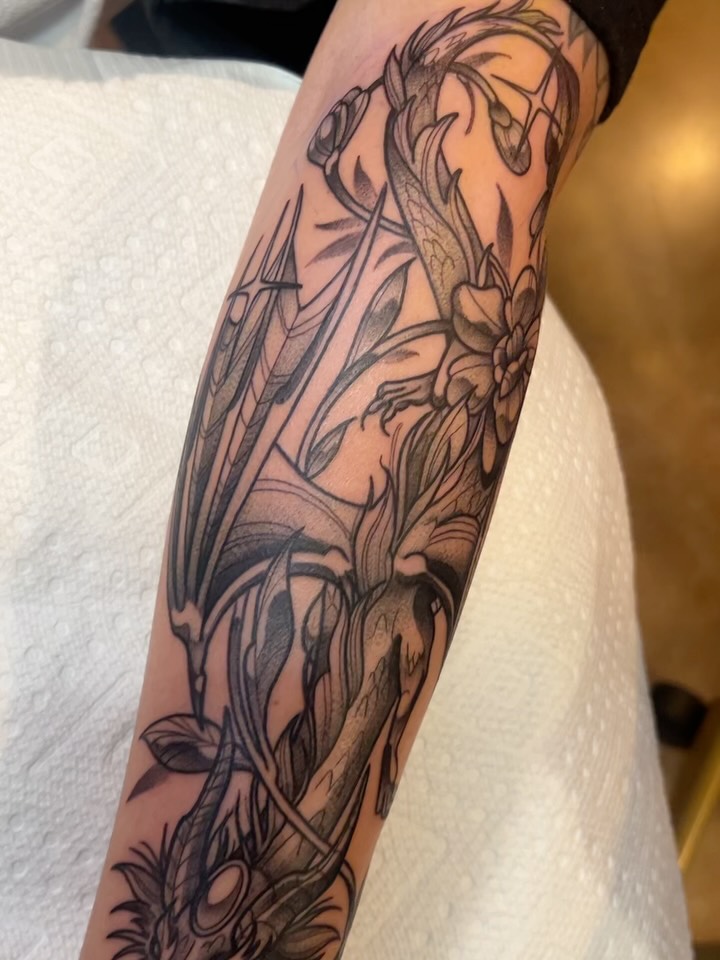 sarastigmata