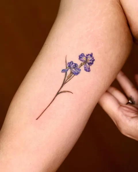 Flower, 난초, 아이리스, 라벤더