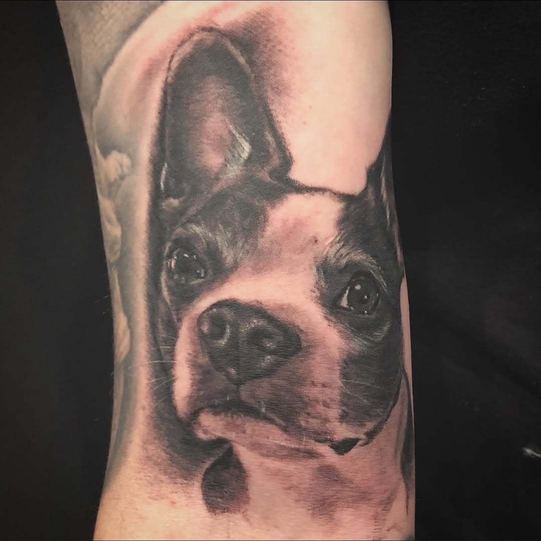 Animal