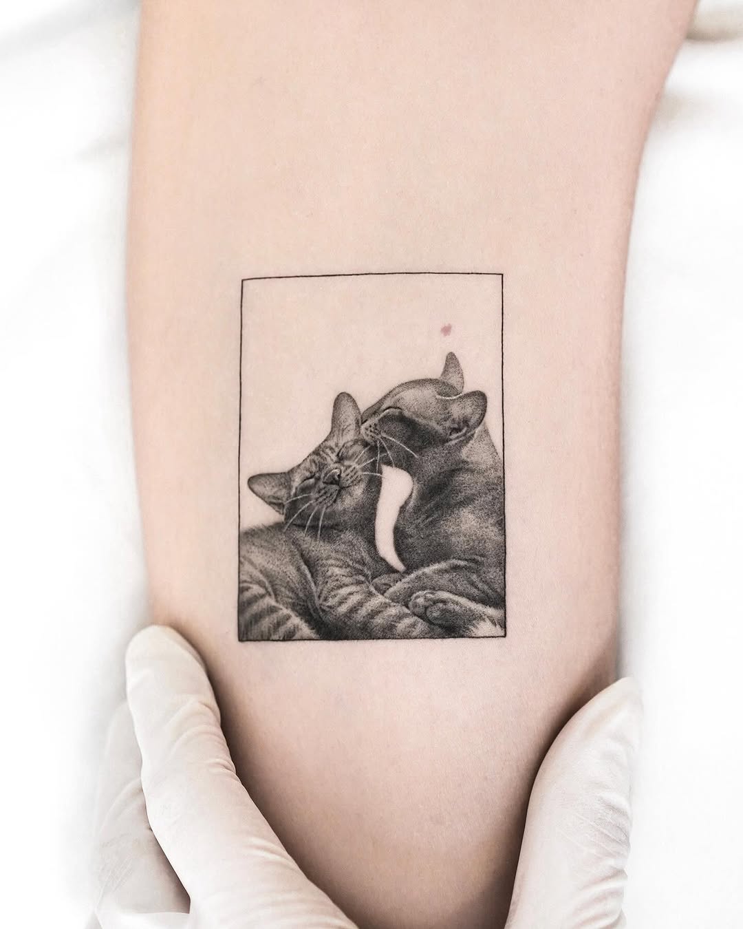 dorok.tattoo