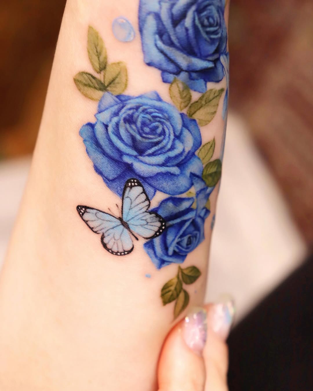 Flower, Rose, Animal