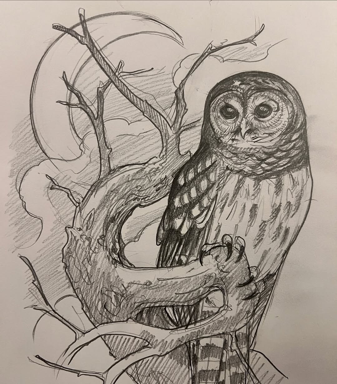 Animal