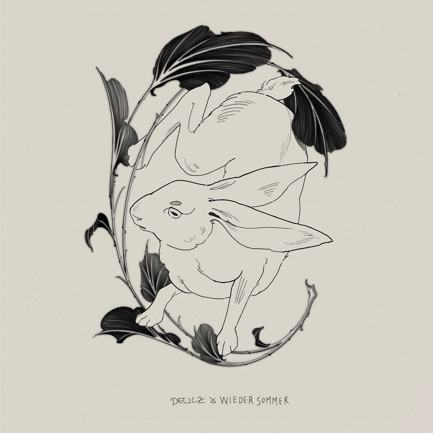 Animal, 토끼
