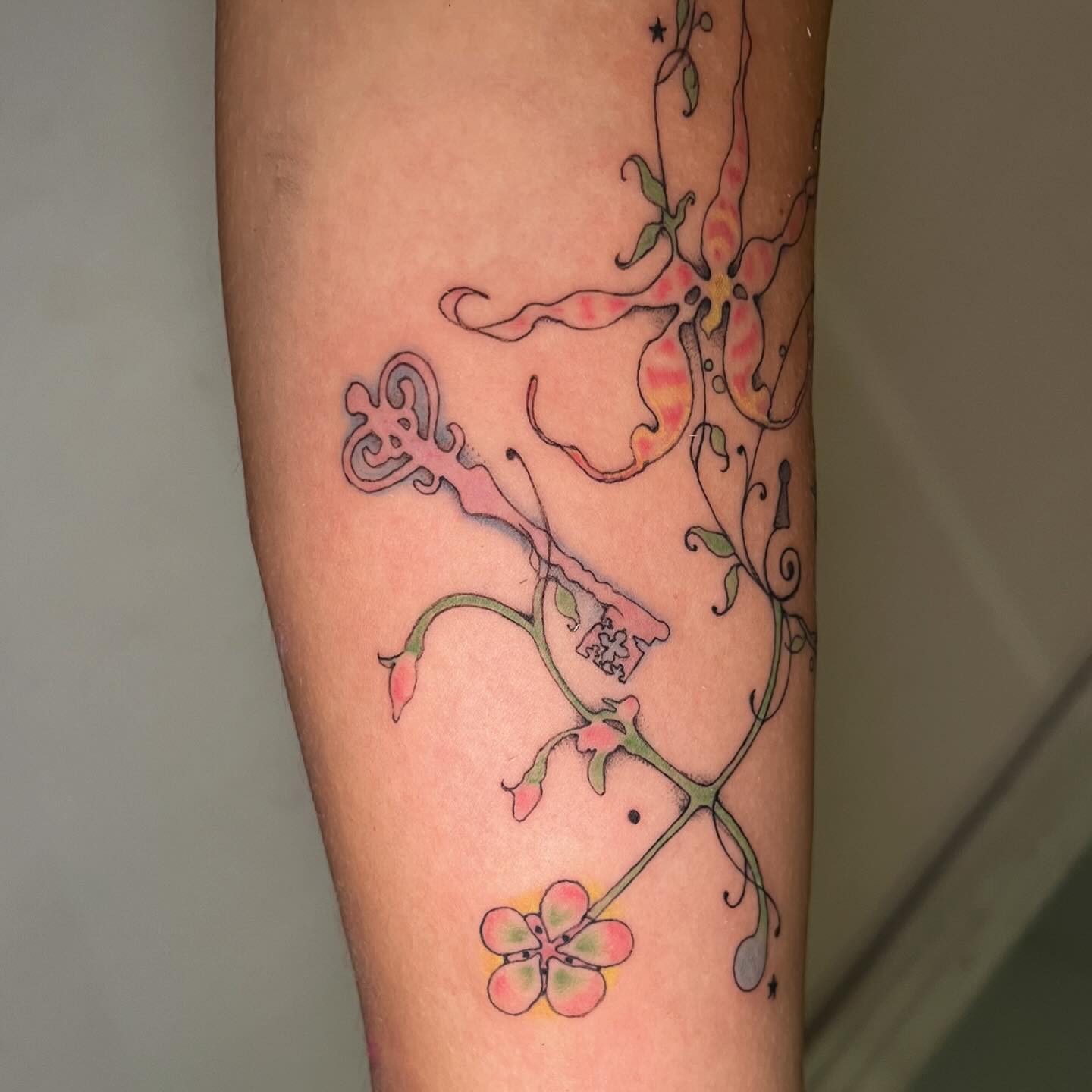 Flower, Rose