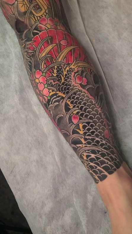 Dragon, Animal