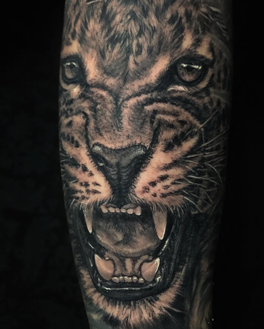 Animal
