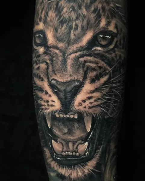 Animal