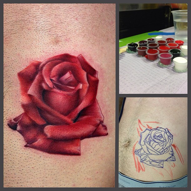 Flower, Rose