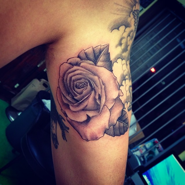 Flower, Rose