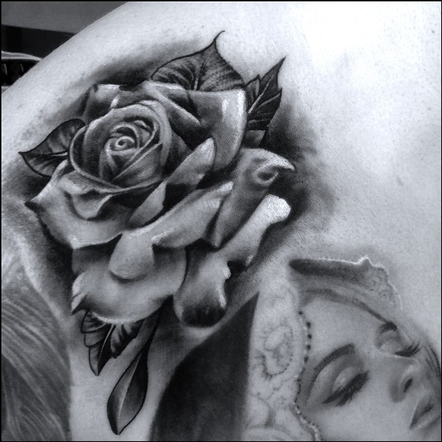 Flower, Rose