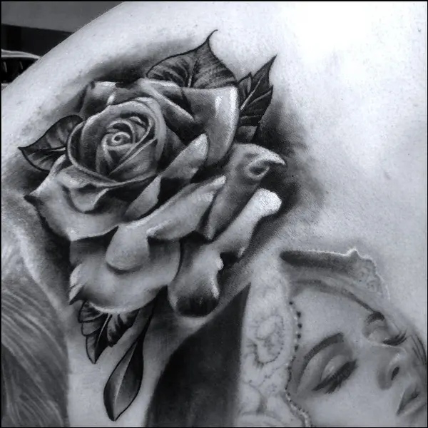 Flower, Rose
