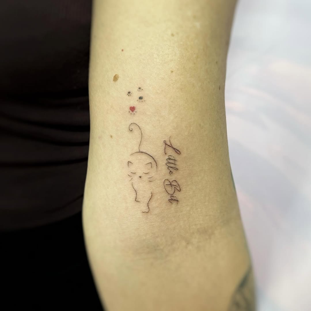 Animal, 벌