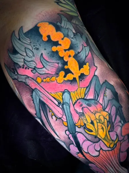 sacred_crow