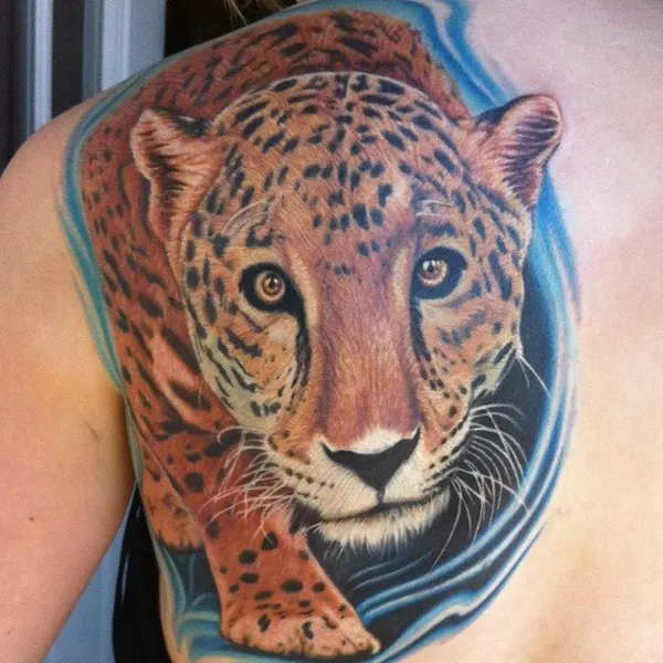 Animal