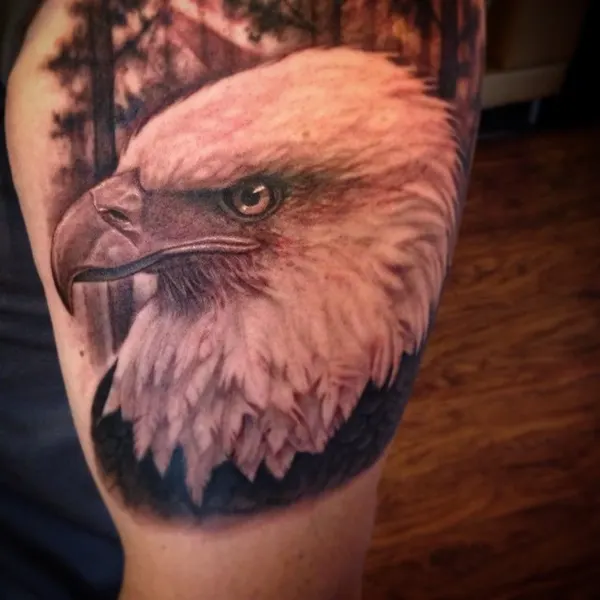 stevewimmer