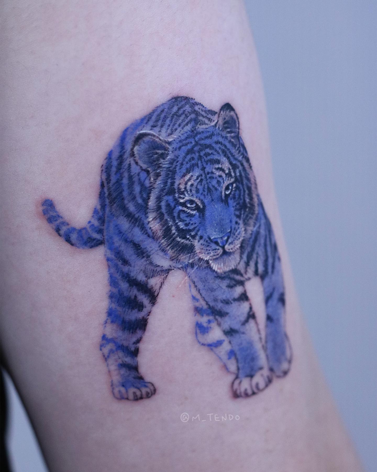 Tiger