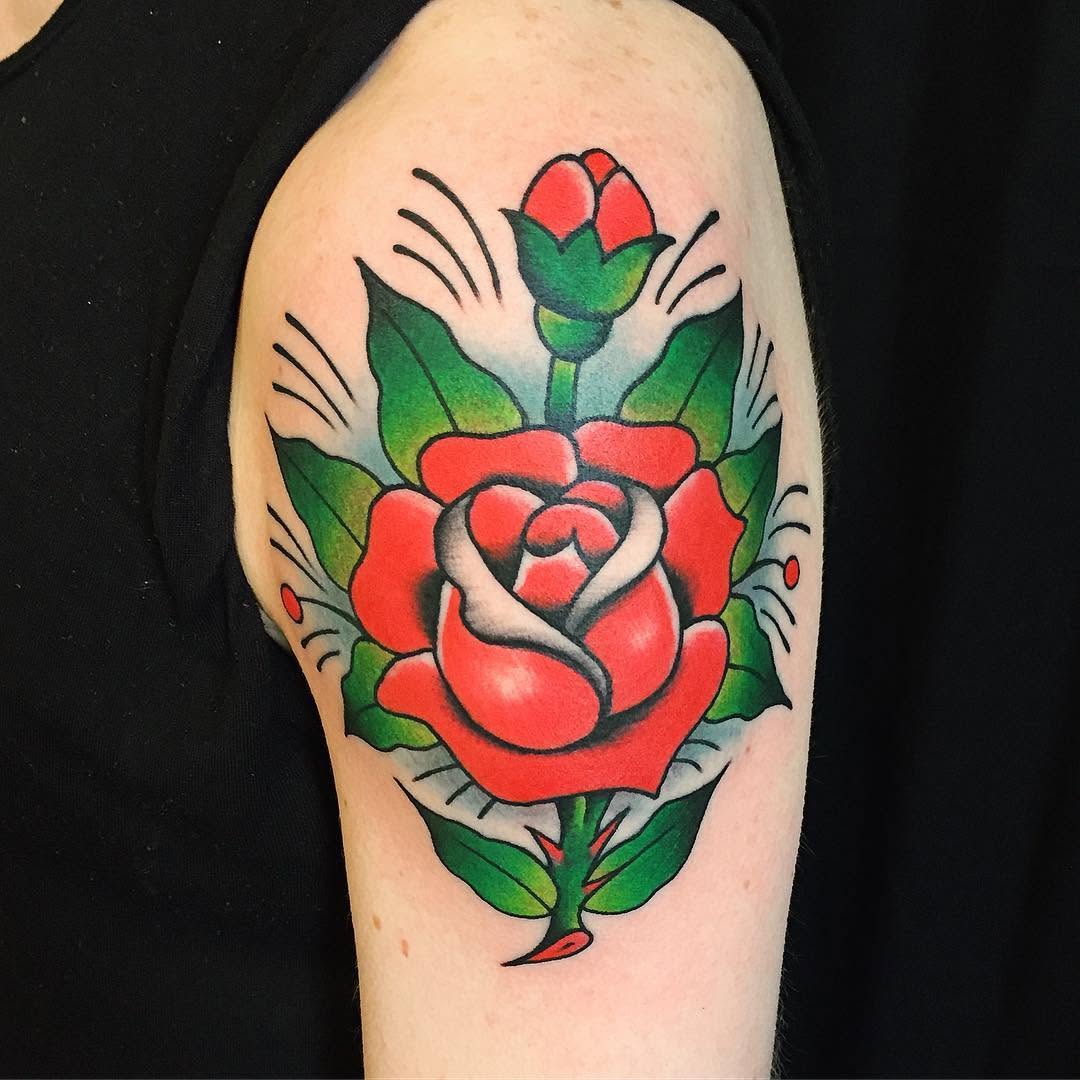 Flower, Rose, Nature