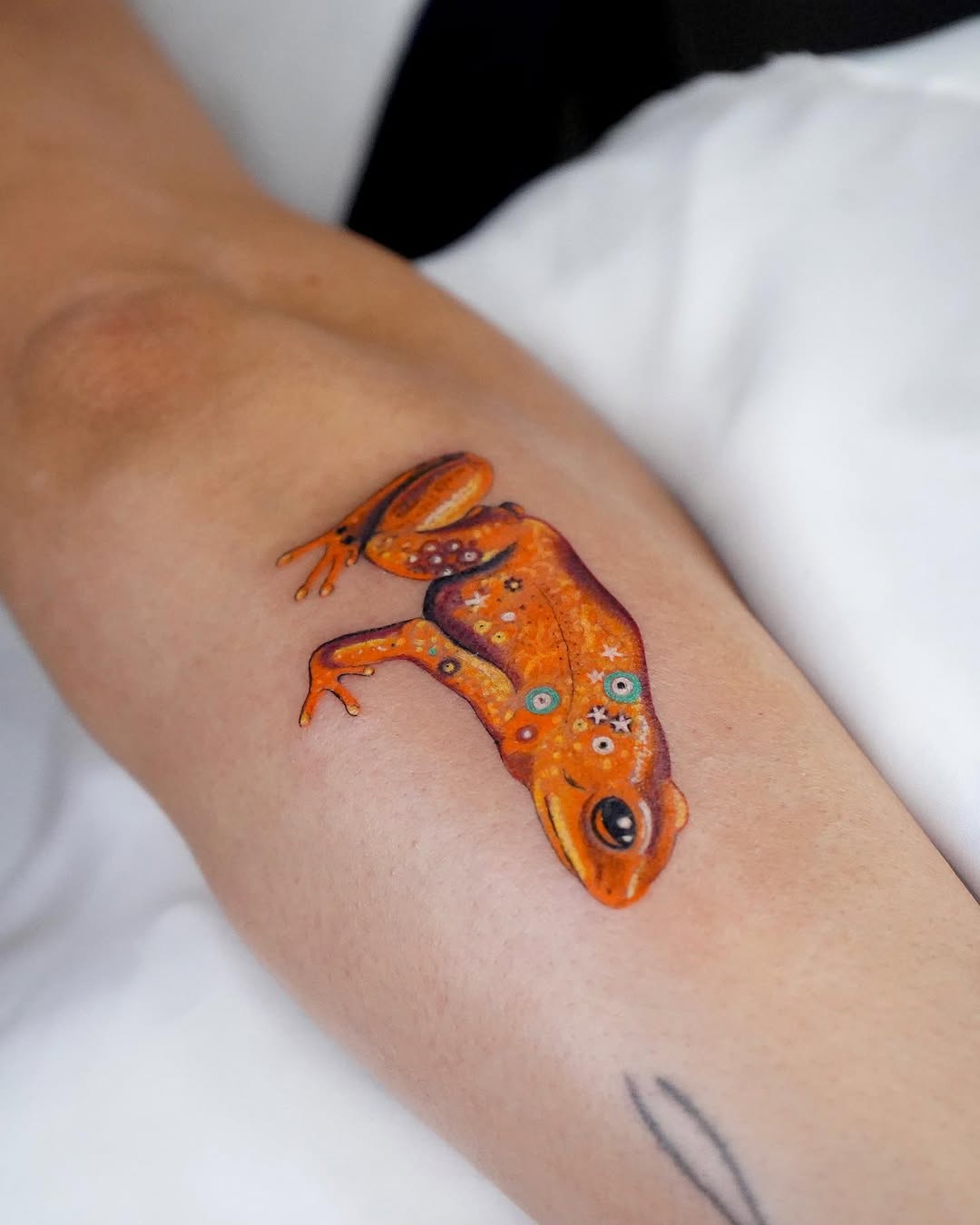 caotida