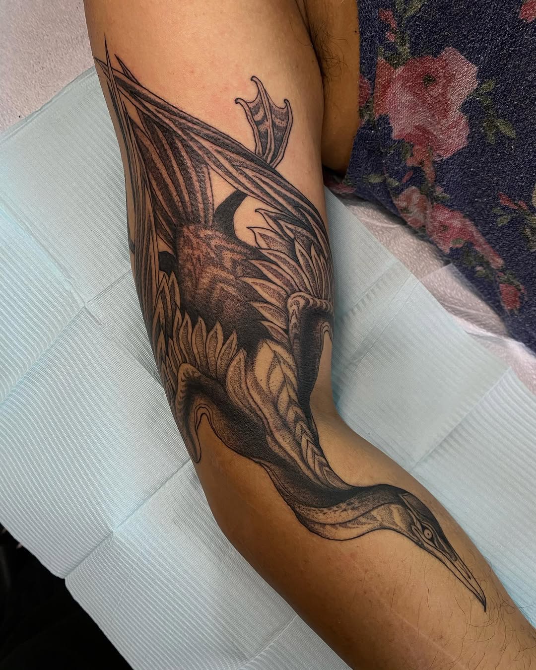 Dragon, Animal