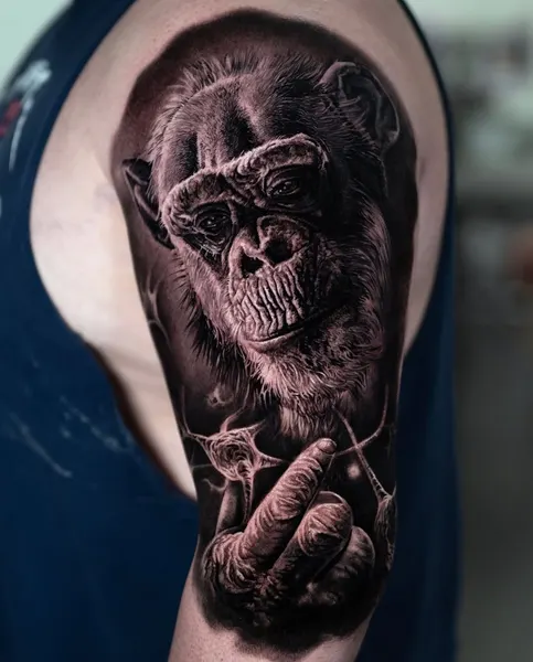 Tiger, Animal