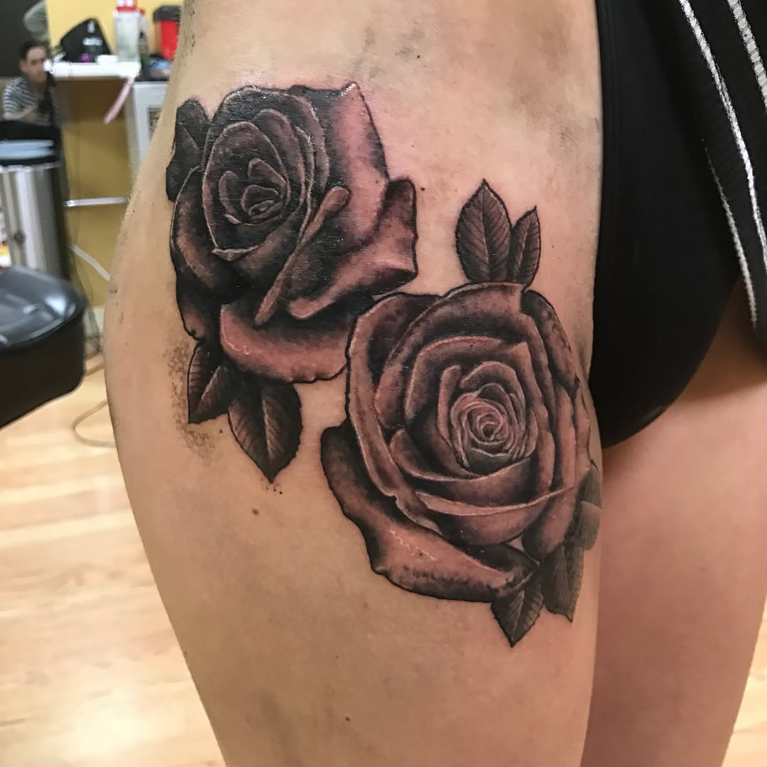 Flower, Rose, Nature