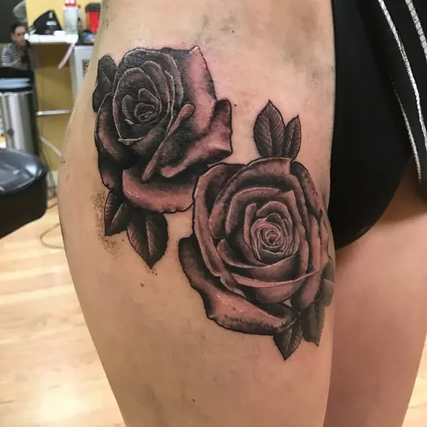 Flower, Rose, Nature