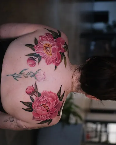 Flower, Nature, Rose