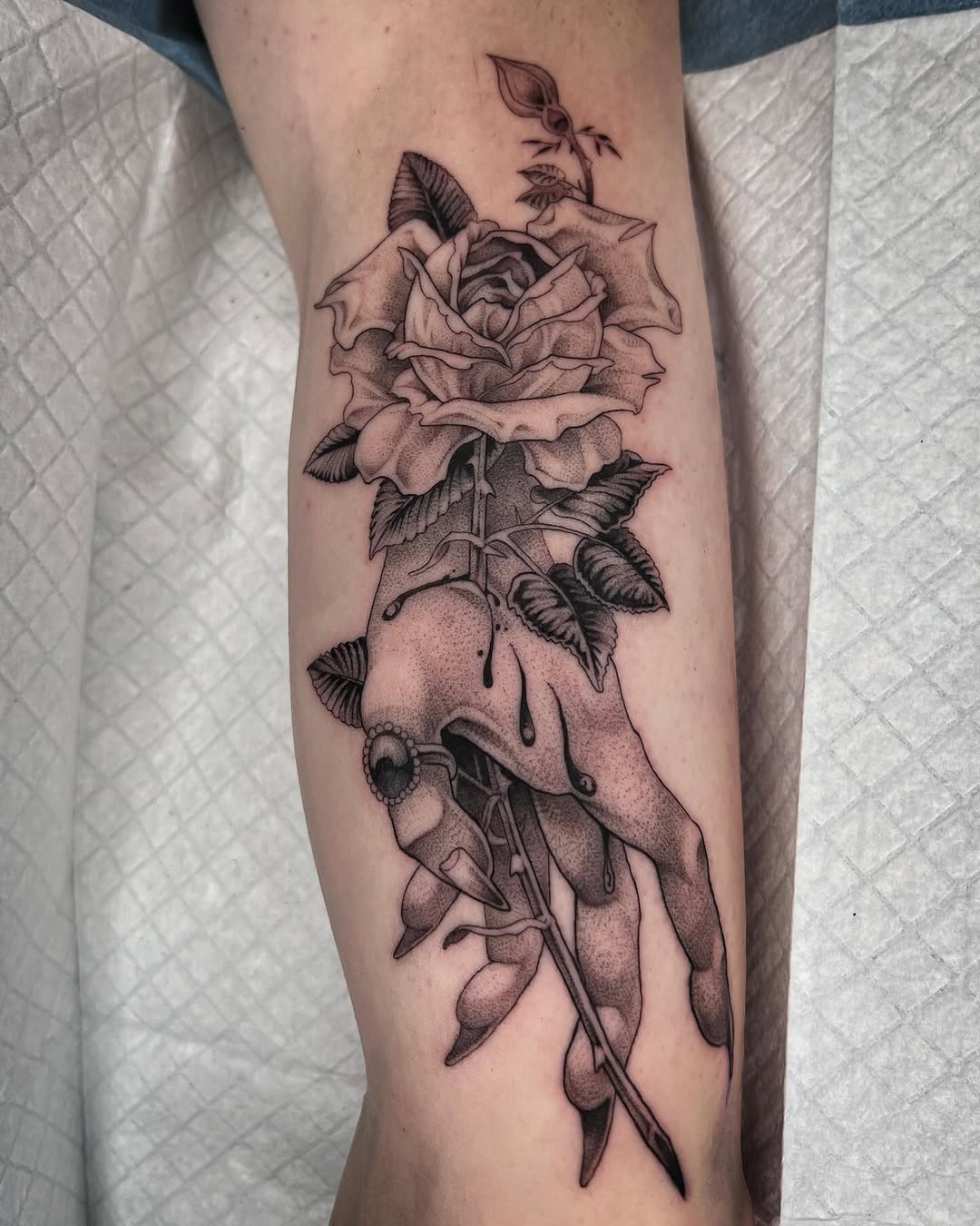 Flower, Rose