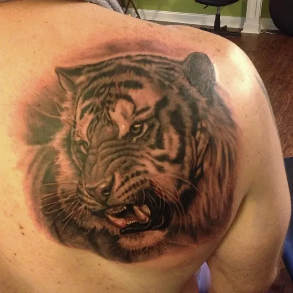 Tiger